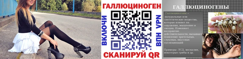 Галлюциногенные грибы MAGIC MUSHROOMS Зеленогорск