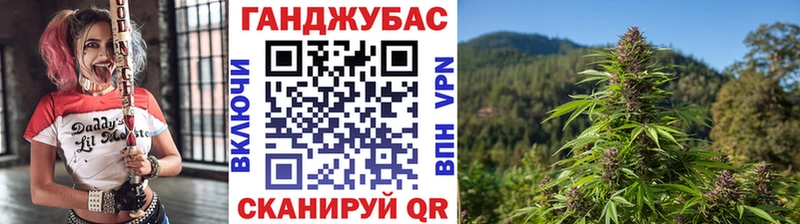 Конопля OG Kush  Зеленогорск 
